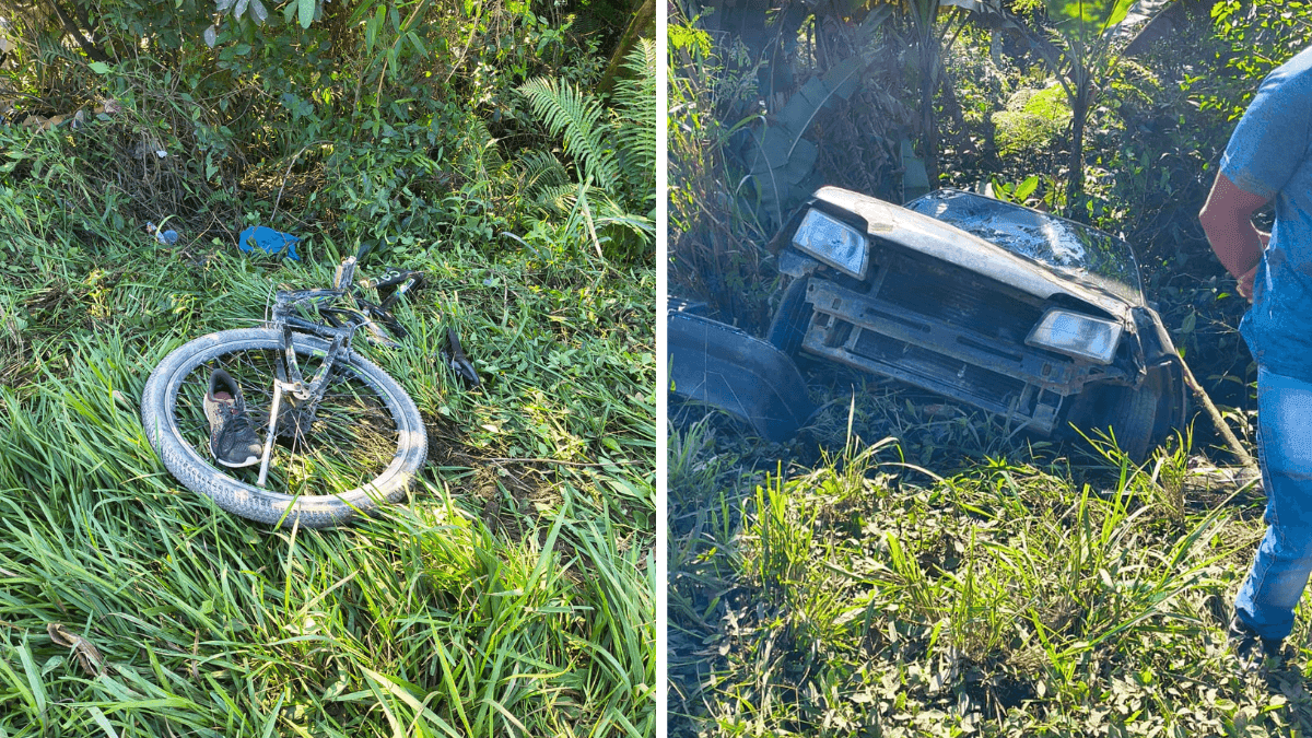 Ciclista morre após ser atroplelada na Rio-Santos, em São Sebastião