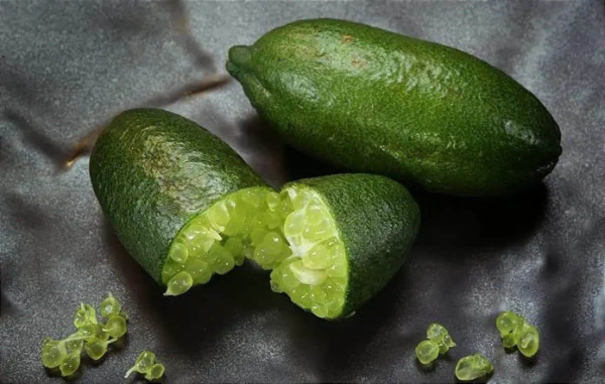 Cientistas brasileiros criam variedade do limão caviar