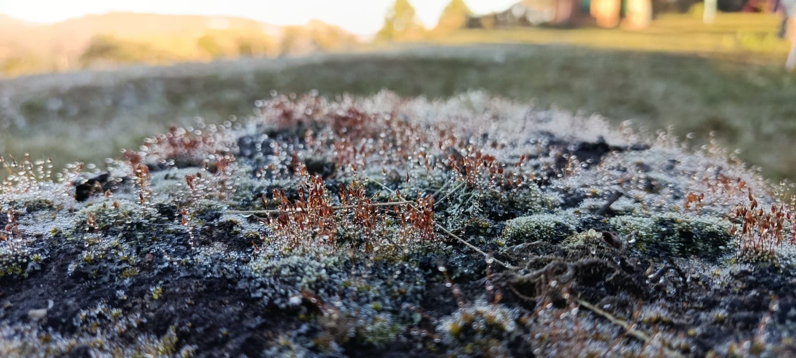 Campos do Jordão registra 3,1°C e tem a menor temperatura de SP