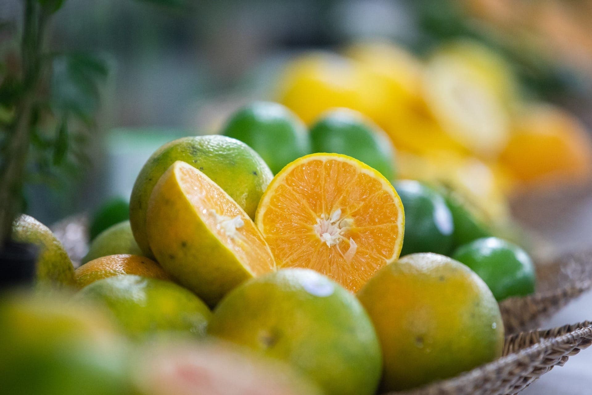 Cepea destaca que as cotações neste início de julho refletem os contratos já negociados para frutas precoces e de meia-estação