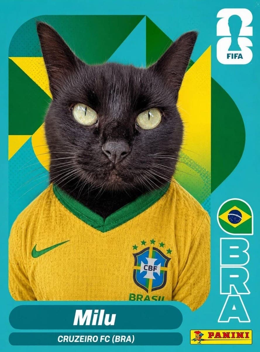 Gato Milú: vidente de Minas Gerais dá palpites na Copa