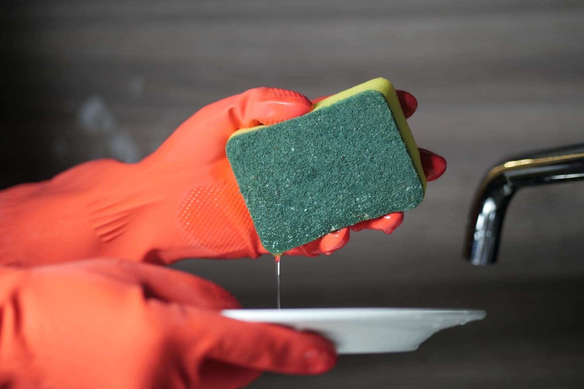 Perigo invisível: esponja da cozinha é um dos objetos mais sujos de uma casa
