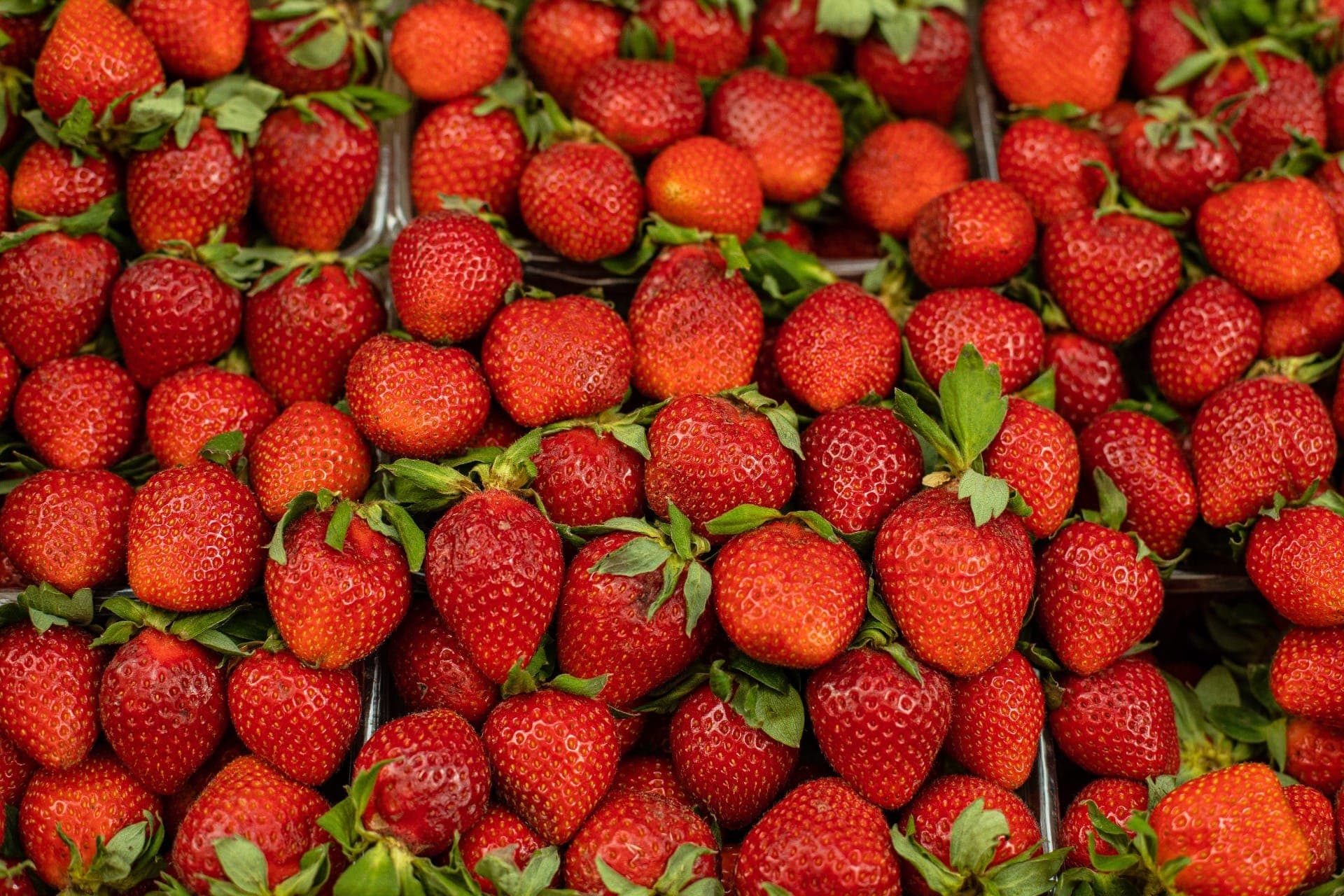 Festa do Morango de Atibaia reúne os mais variados pratos e preparos para morangolovers