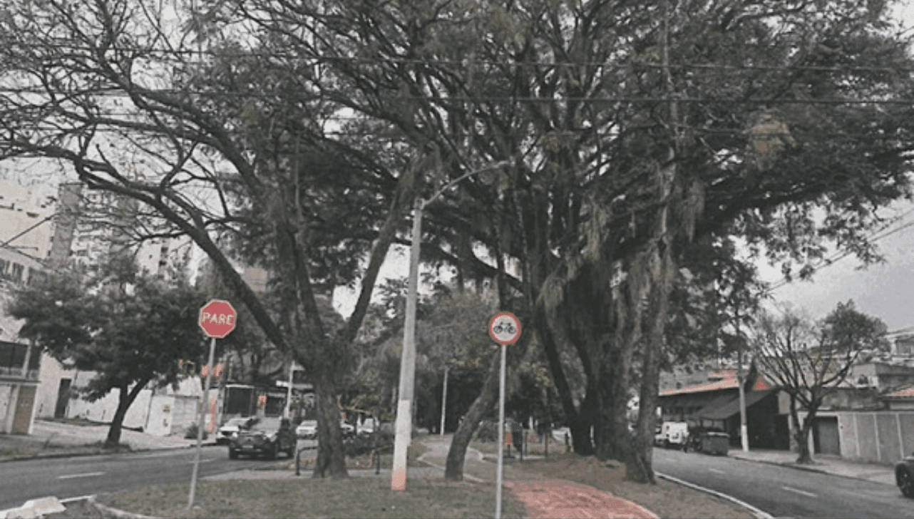 Ação ocorre no trecho entre a Rua Joaquim Roberto de Azevedo e a rotatória da Praça Agenor Oliveira "Cartola