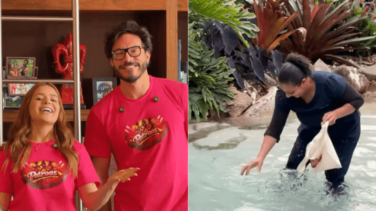 Eliezer e Viih Tube pagaram multa por reality 'As Patroas'
