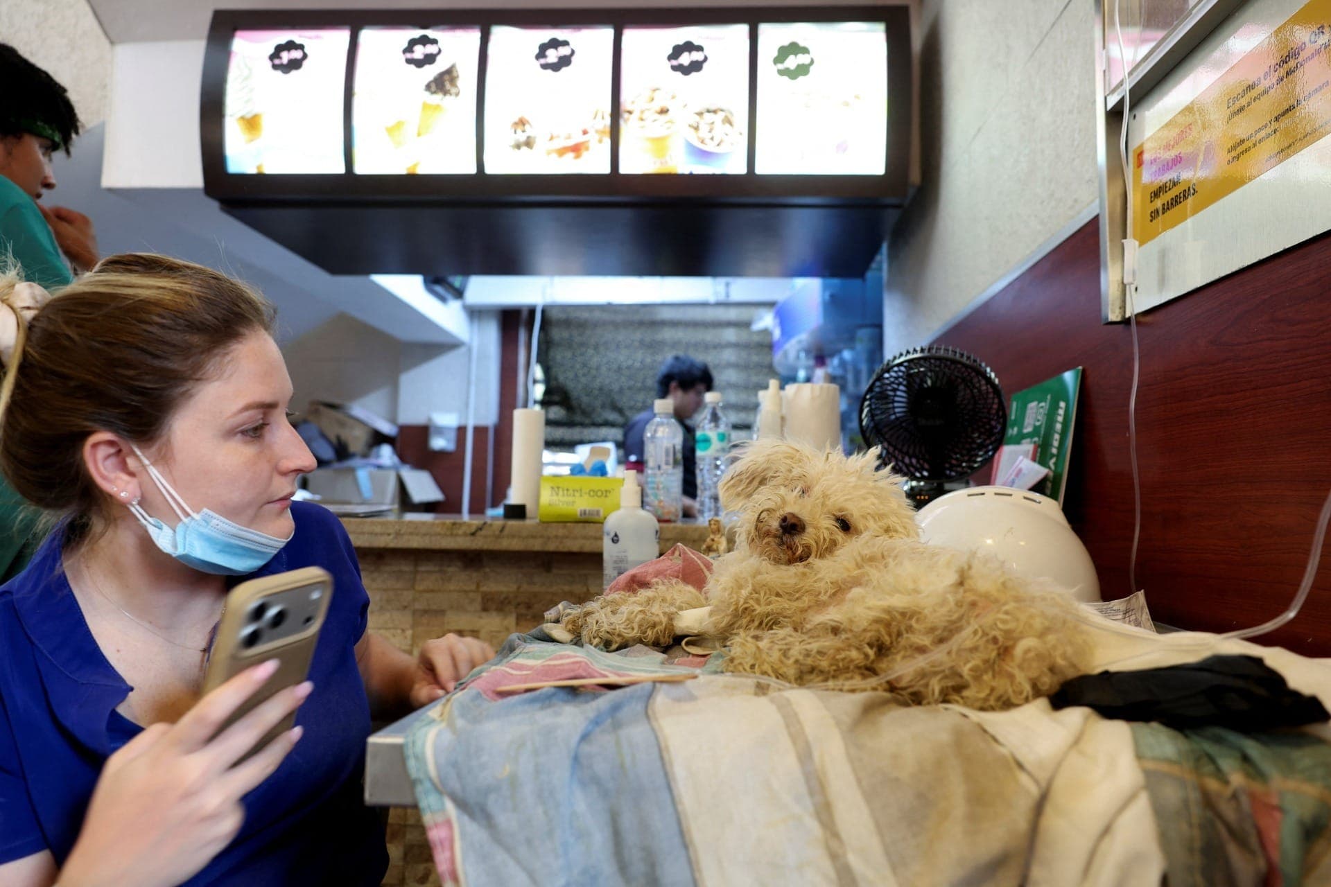 McDonald's da Venezuela vira 'hospital' para pets atingidos nos terremotos