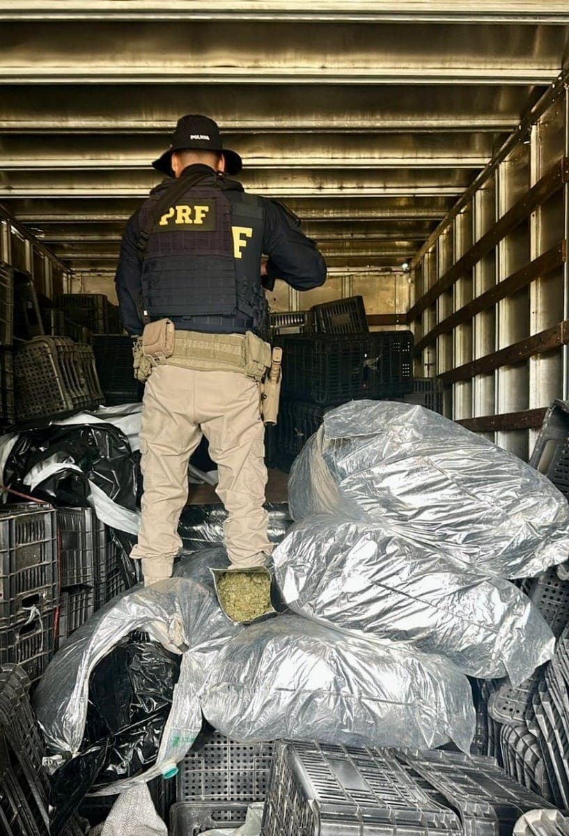 Apreensão de 500kg de maconha
