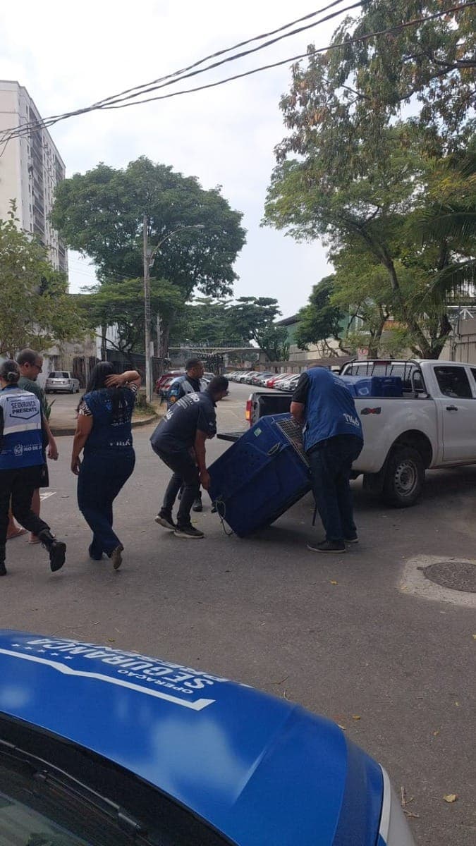Pit bull abandonado acorrentado em árvore sendo resgatado