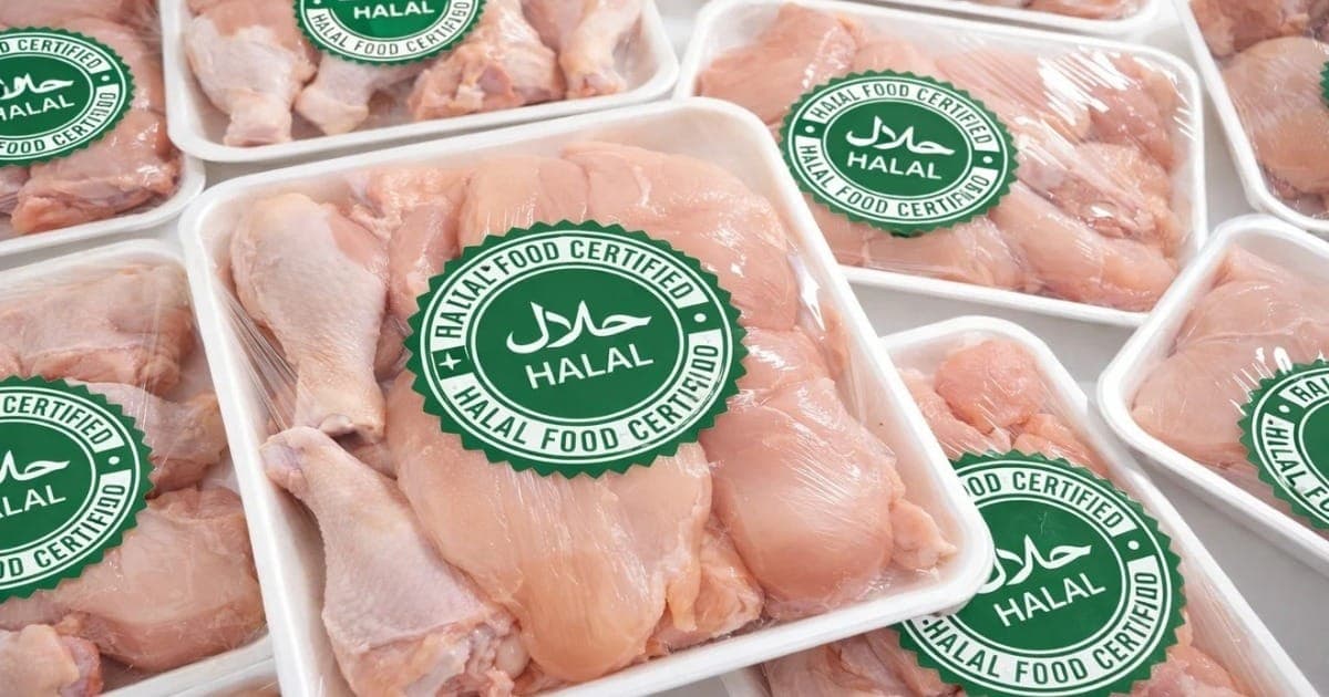 Brasil é líder em exportações de frango halal