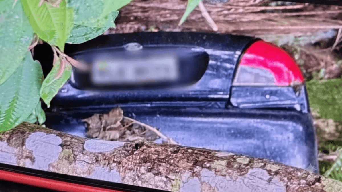 Corpo encontrado em ribanceira em São Francisco Xavier é identificado