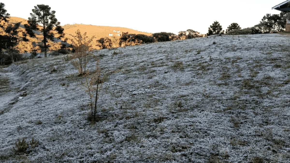 Campos do Jordão registra 1,3°C e bate novo recorde de frio em 2026