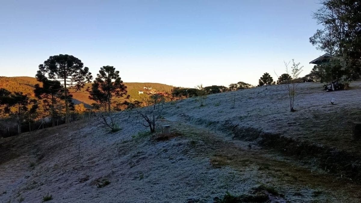 Campos do Jordão (SP) tem temperatura mínima de 1,3°C