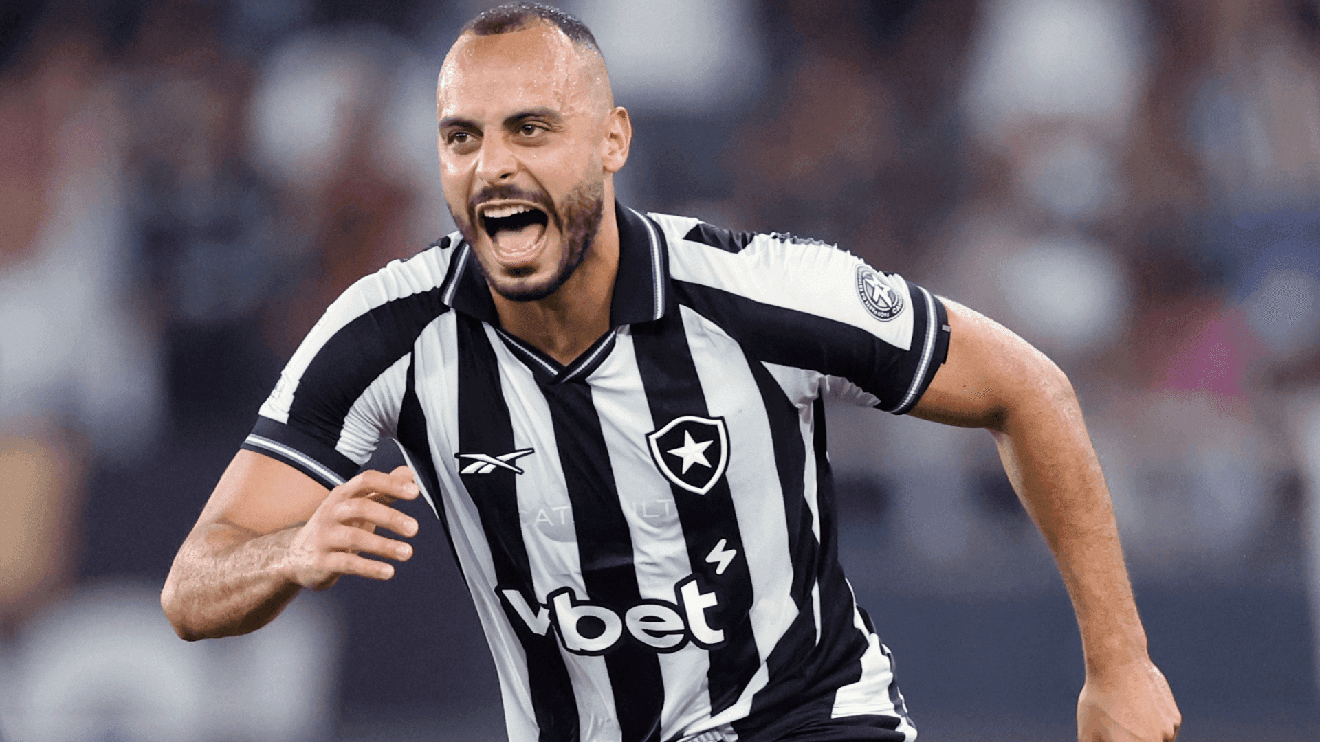 Botafogo enfrenta o Santos no retorno do Brasileirão