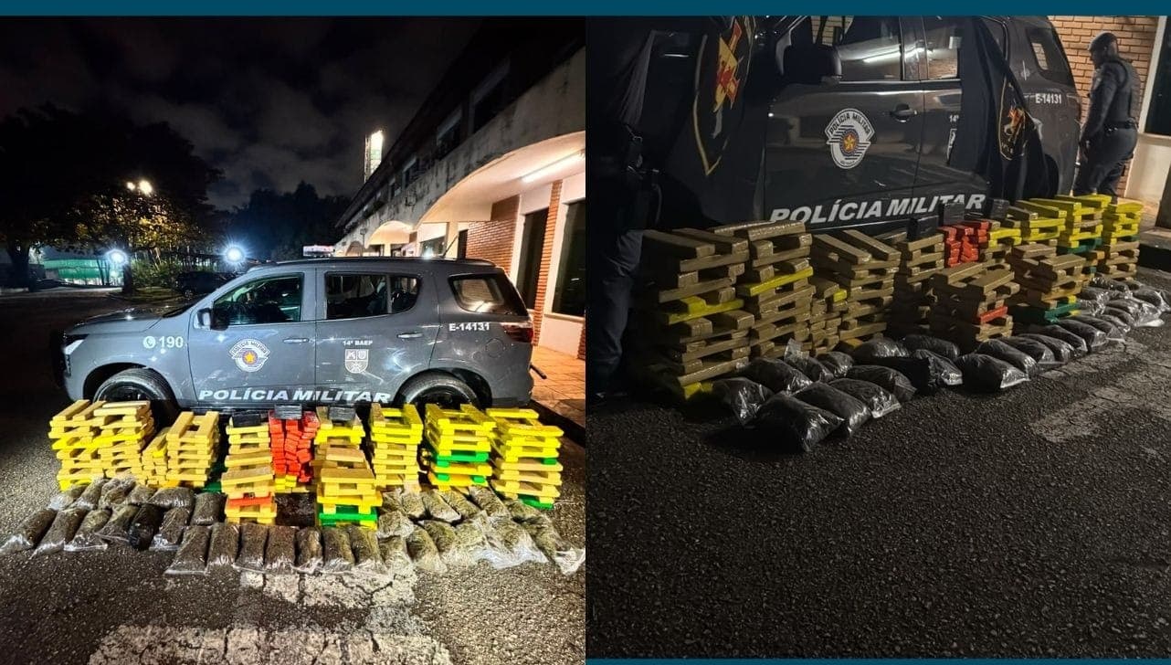 Drogas apreendidas na chácara