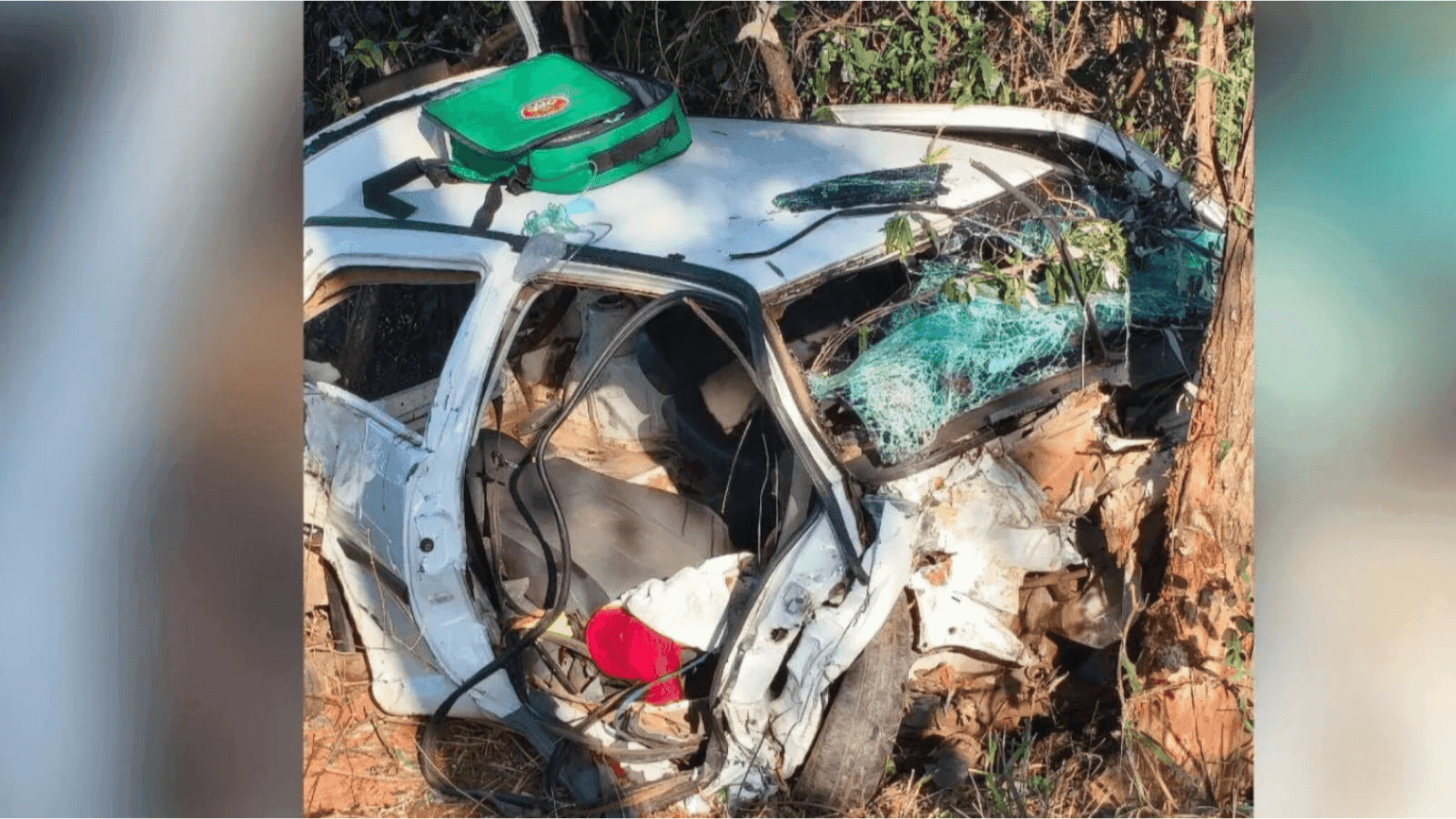 O motorista perdeu o controle e o veículo bateu em uma árvore