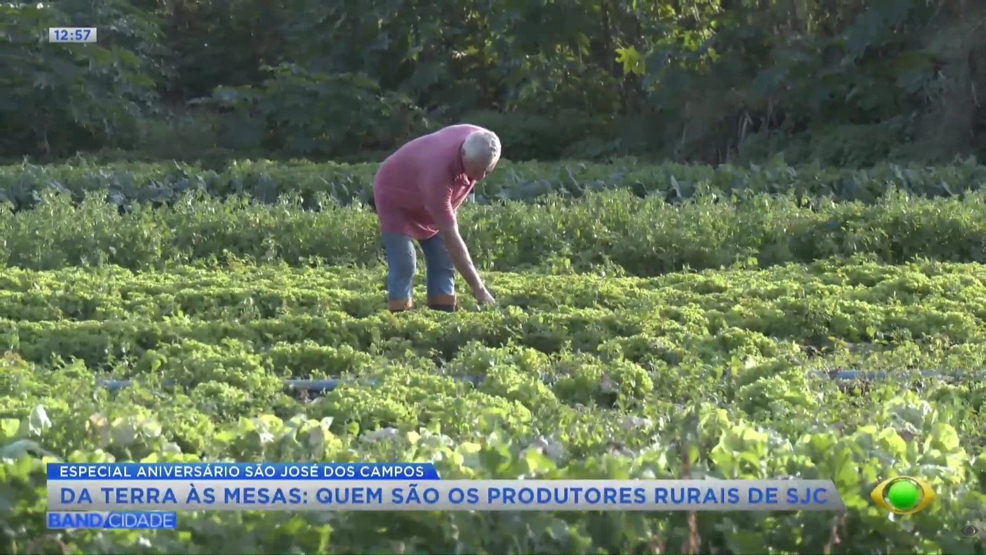 Tecnologia e campo se unem em SJC: Conheça os contrastes da metrópole