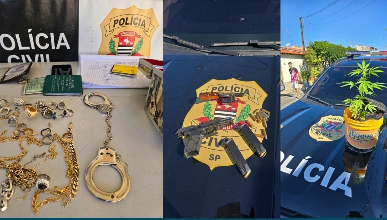 Apreensões feitas pelos policiais