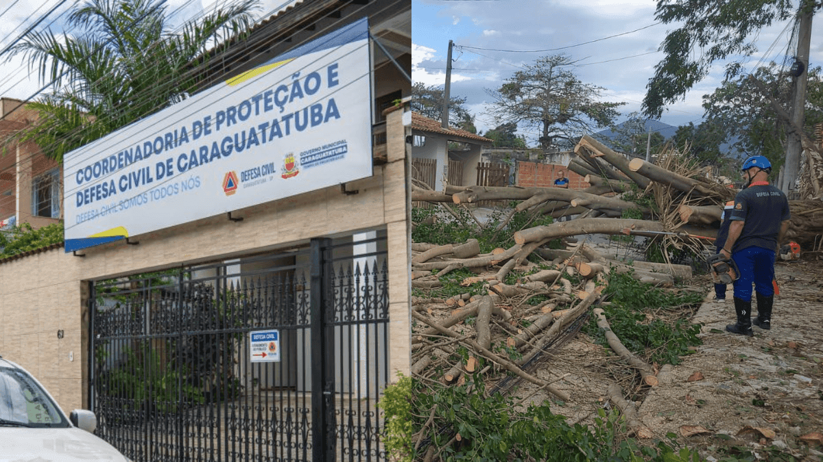 Defesa Civil de Caraguatatuba registra queda de árvores devido à ventania