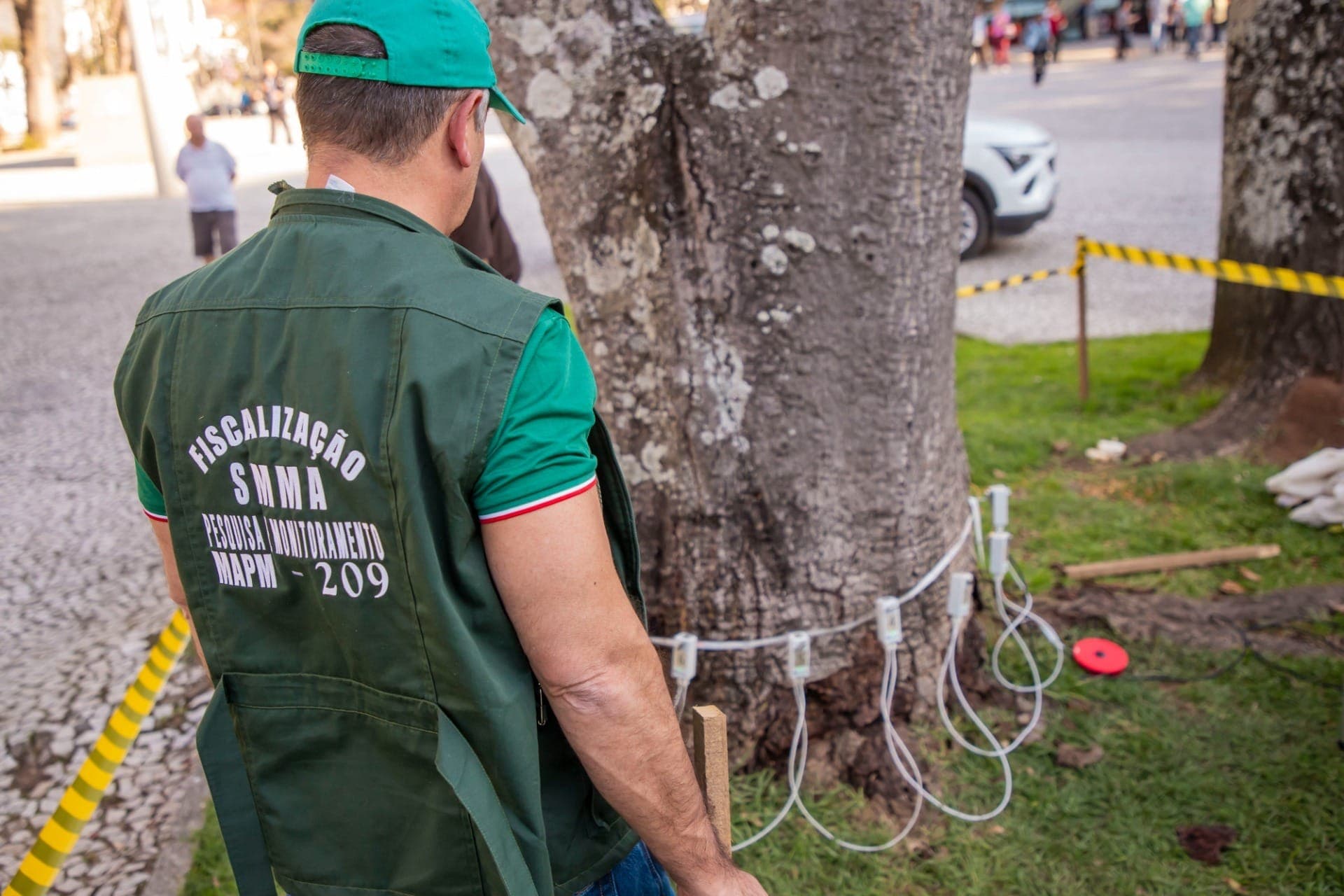 Prefeitura de Curitiba usa tomógrafo para fazer vistorias e manutenção em árvores da Praça Rui Barbosa