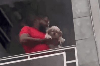 Cachorro é resgatado após ser levado pelo vento