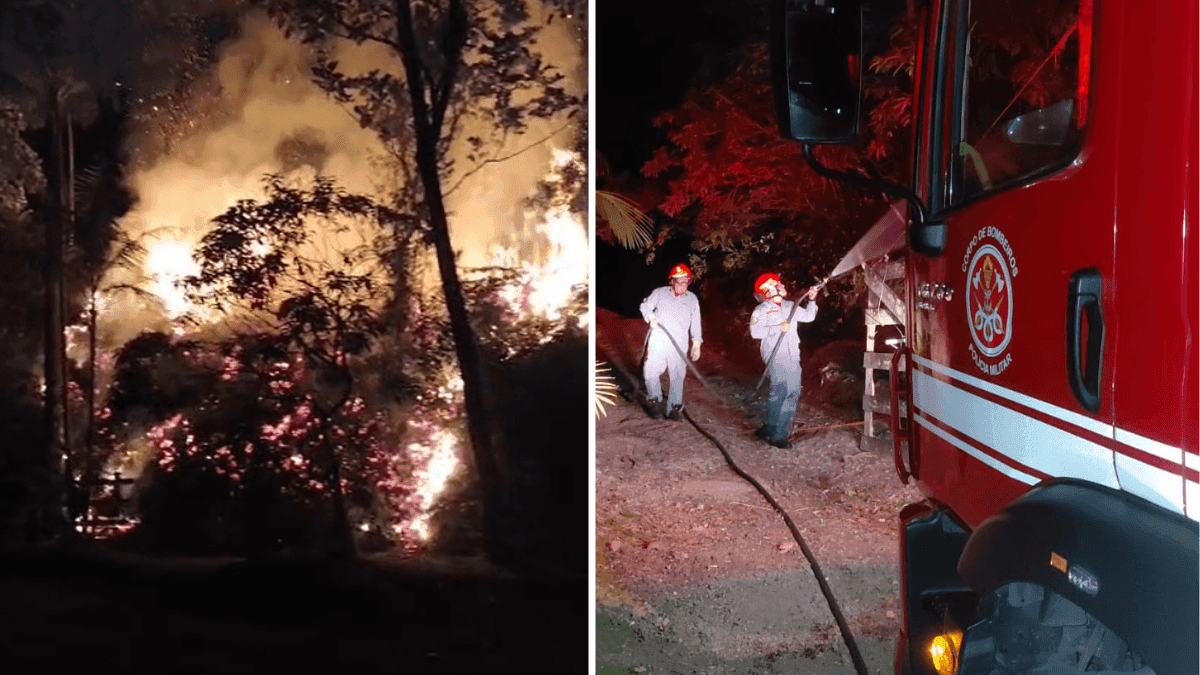 Incêndio em vegetação atinge Morro do Santo Antônio em Caraguatatuba