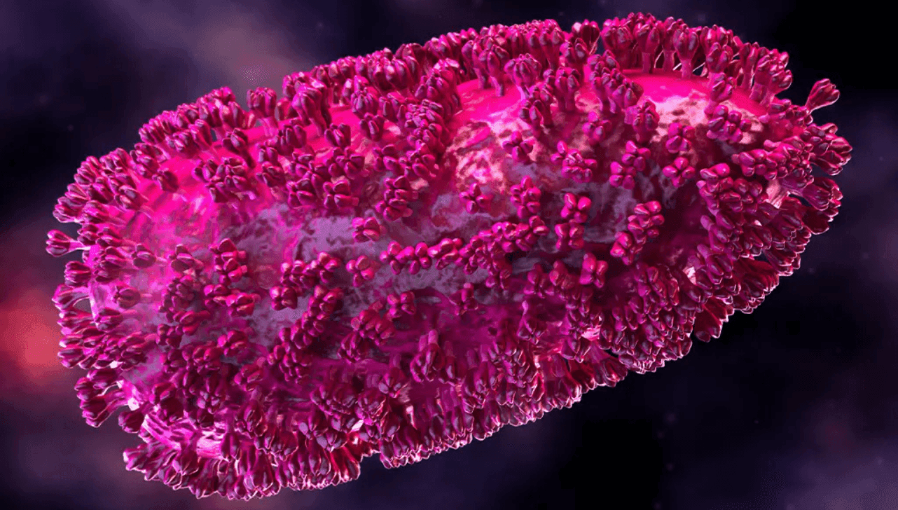 Lyssavirus, que causa a raiva