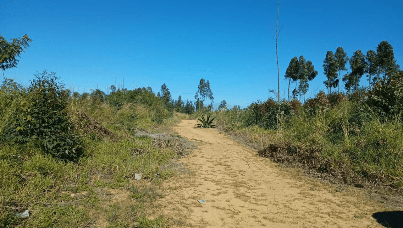 O corpo da vítima foi localizado pelos agentes em uma área de mata no município