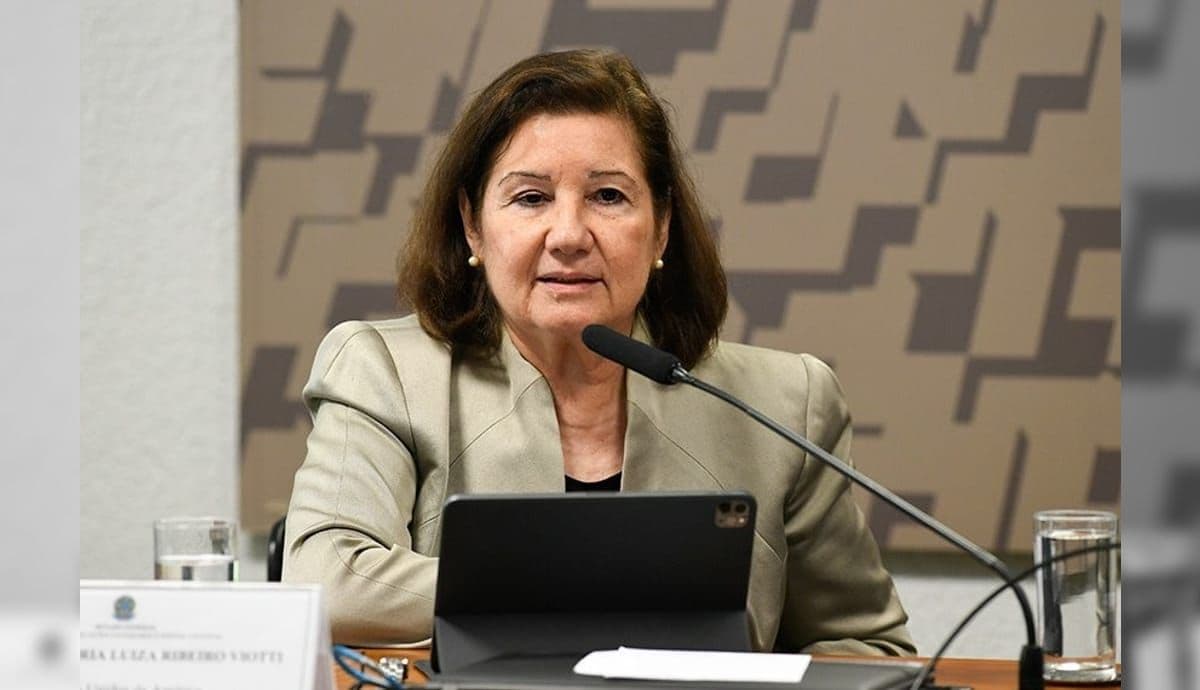 EUA cancelam visto de chefe da embaixada do Brasil em Washington, Maria Luiza Ribeiro Viotti