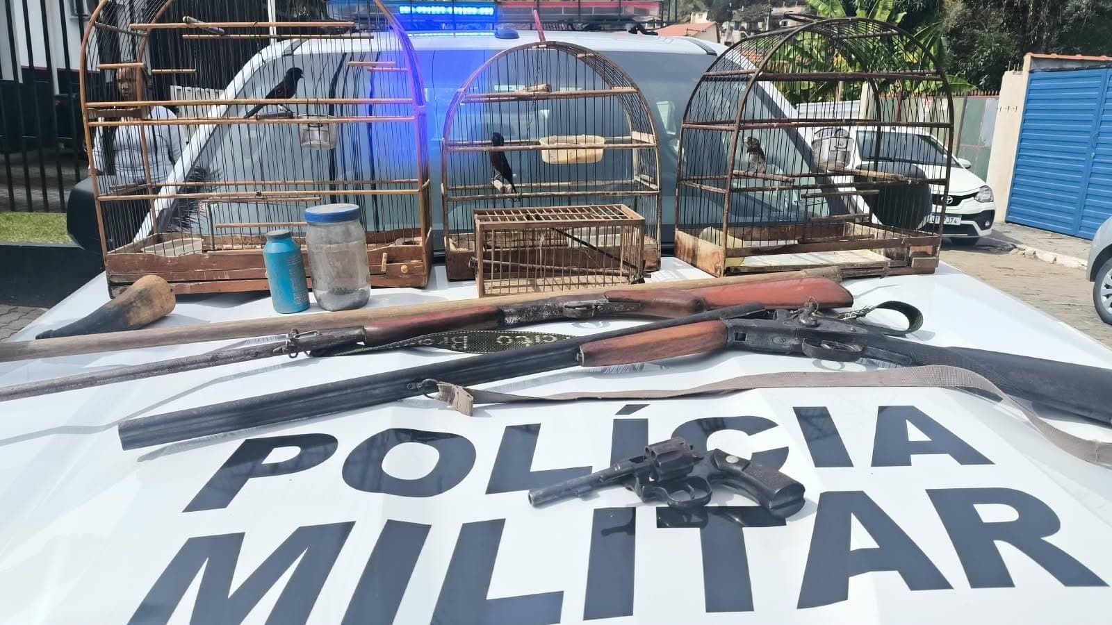 Polícia Ambiental apreende pássaros silvestres e armas em Bananal
