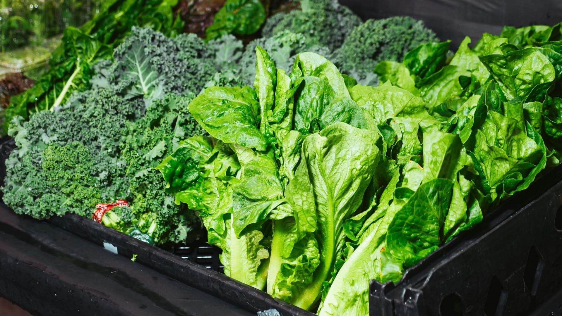 Vegetais de cor verde contém altas concentrações de vitamina K