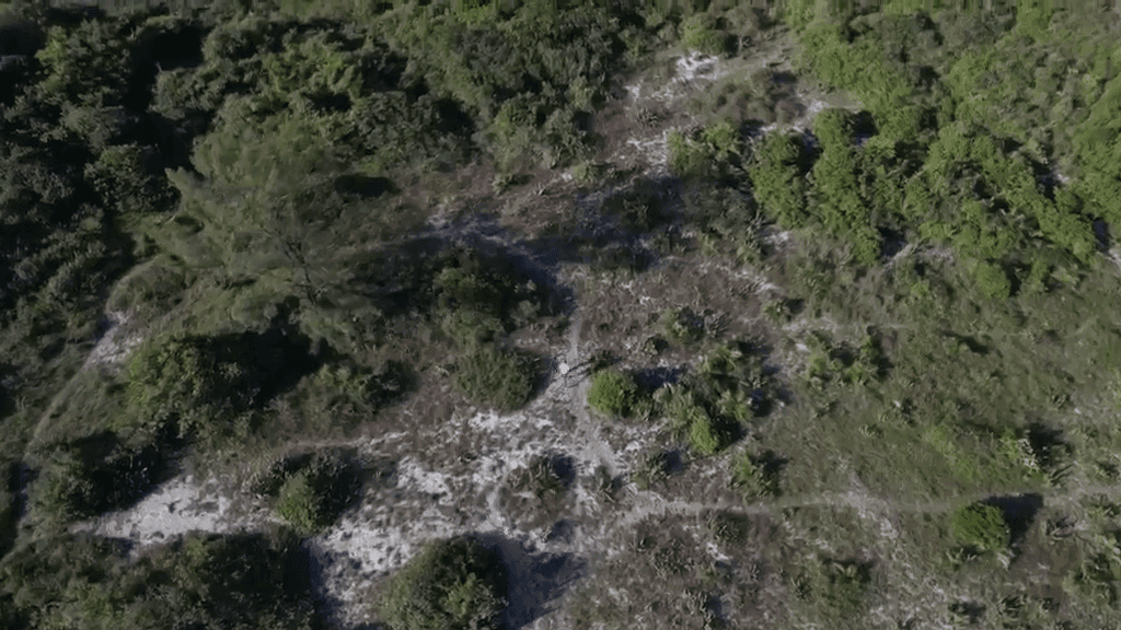 Adolescentes foram identificados por um drone