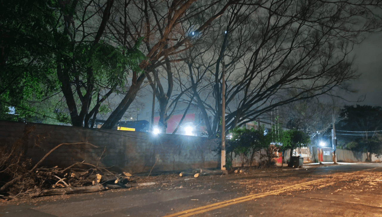 Prefeitura fez a retirada do galho que caiu e também a poda dos galhos