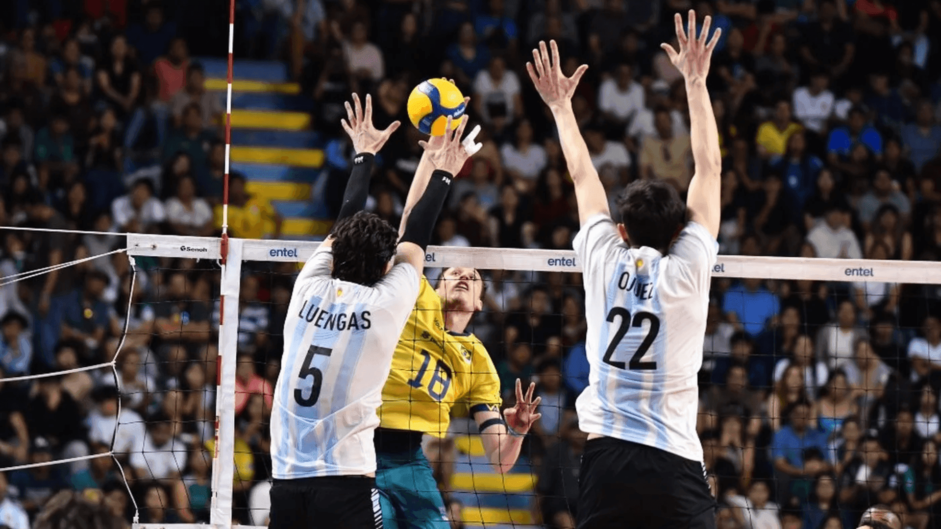 Brasil perde para Argentina na Copa Sul-Americana de vôlei