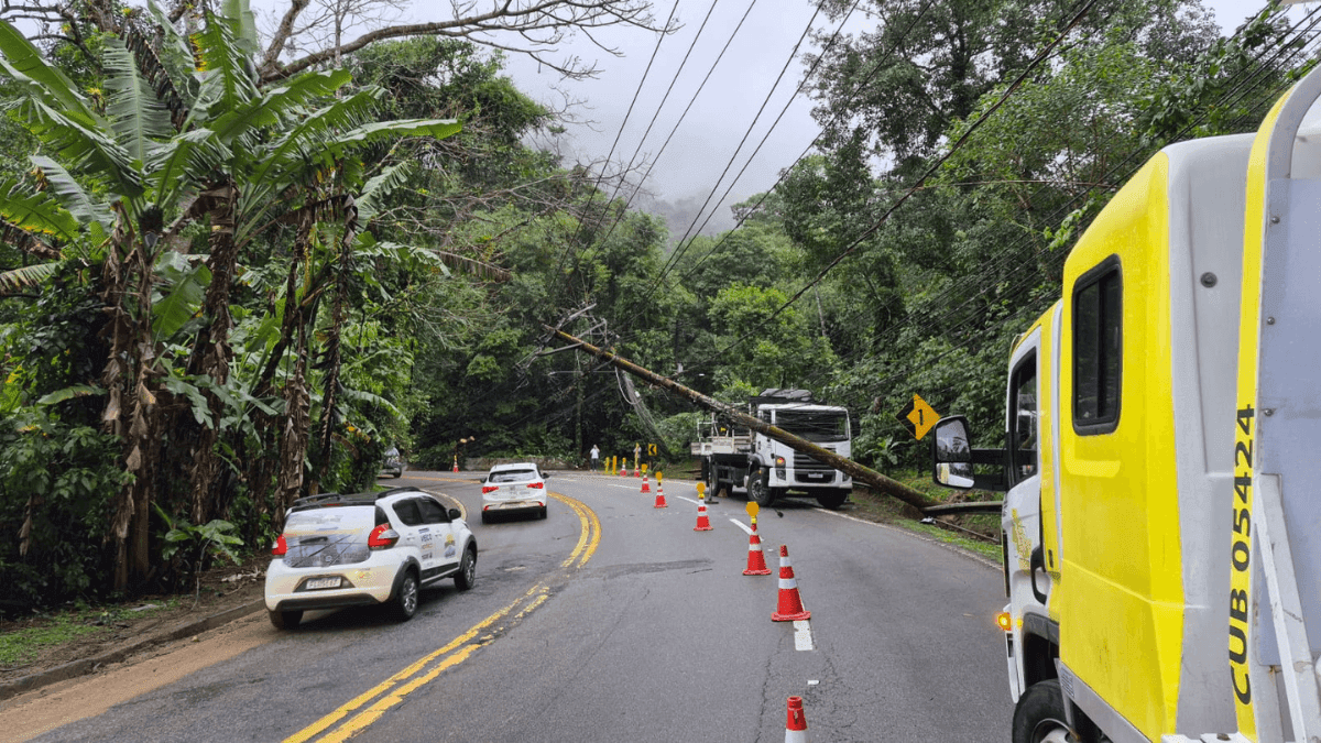 Árvore cai e derruba fiação elétrica na Rio-Santos, em São Sebastião