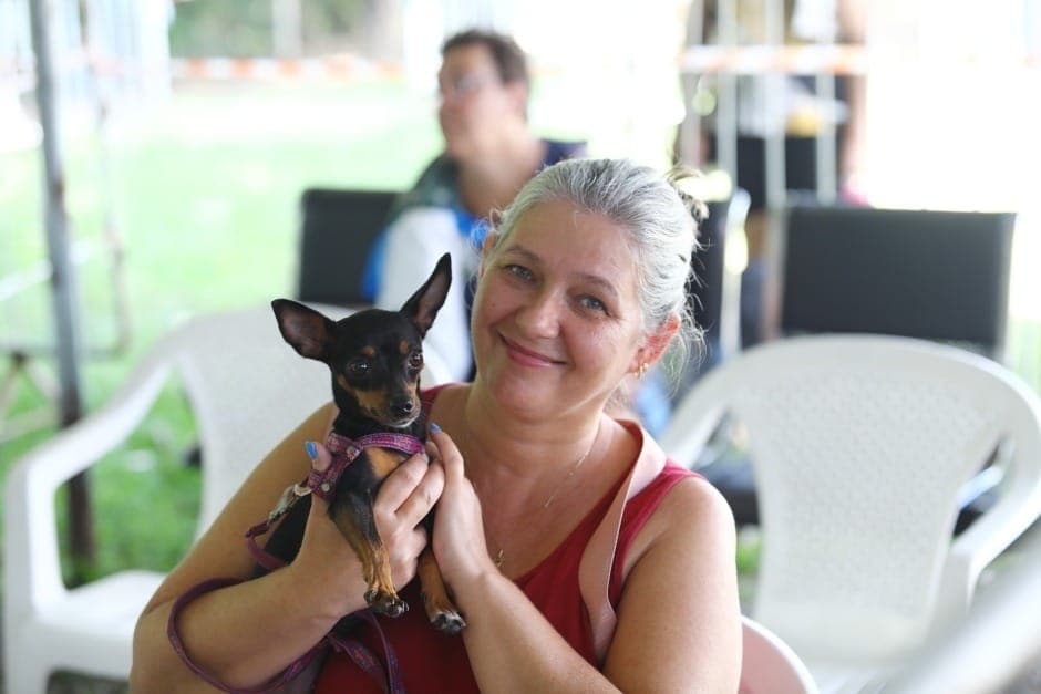 Castração gratuita de pets: inscrições abrem nesta terça em SJCampos