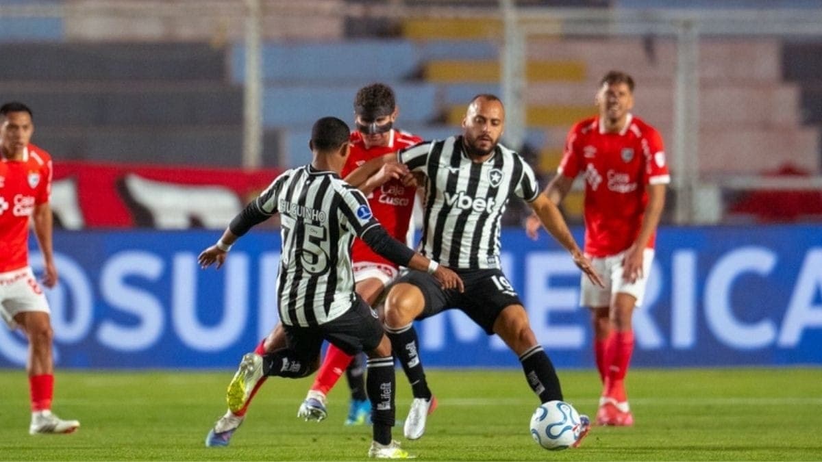 Botafogo é goleado na Sul-Americana