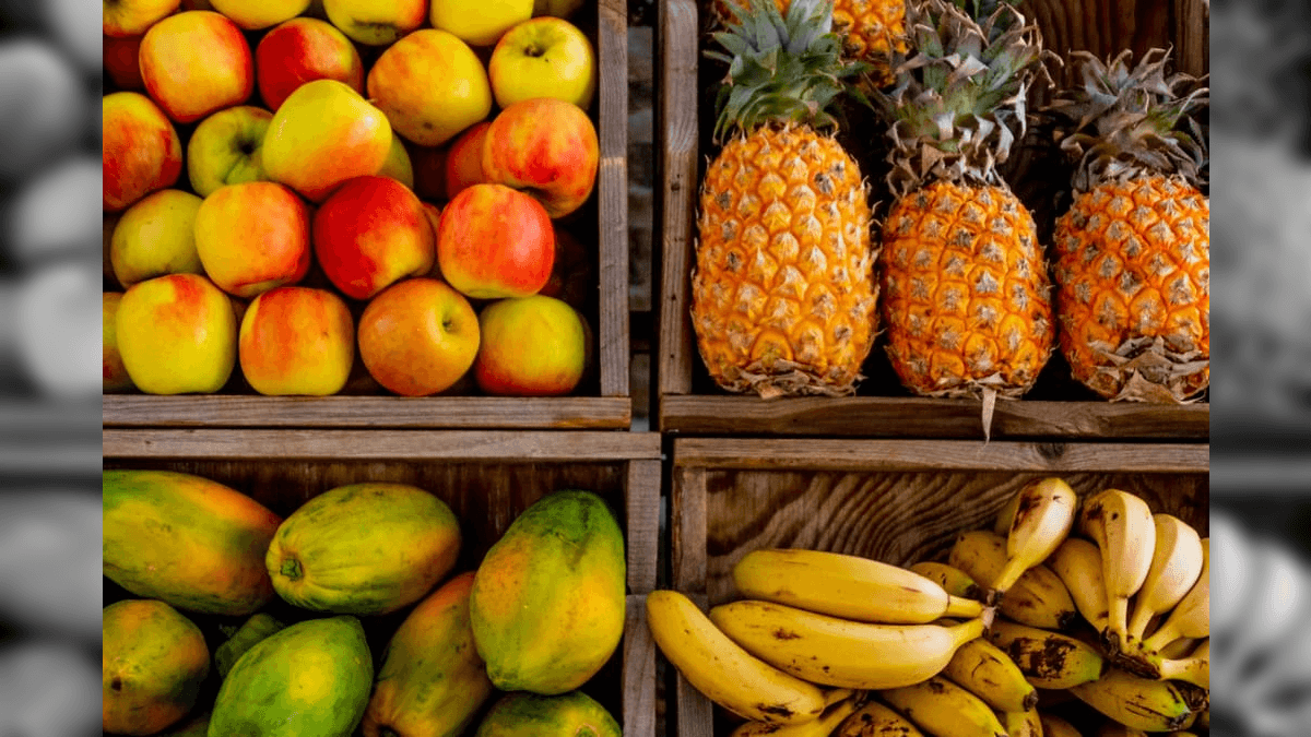 Excesso de chuvas prejudicou lavouras de frutas na região Nordeste