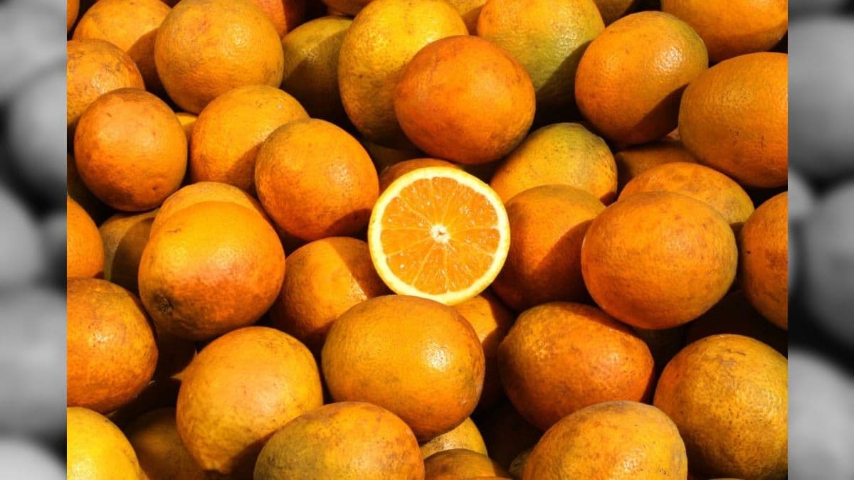 Suco de laranja integral deve ser feito com fruta in natura
