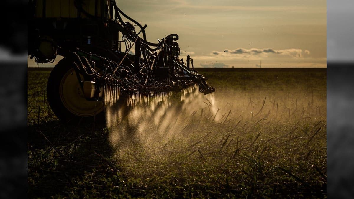 Plano Nacional de Fertilizantes visa garantir a produção de alimentos com menor custo