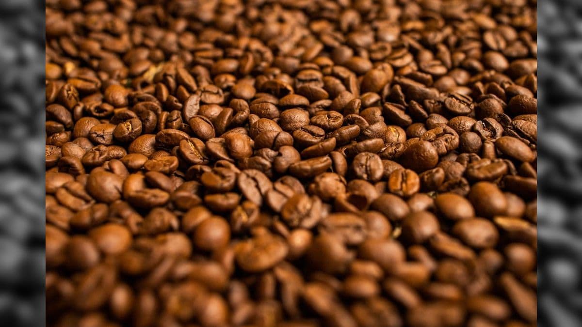 Café do Cerrado Mineiro tem pelo menos 14 IGs