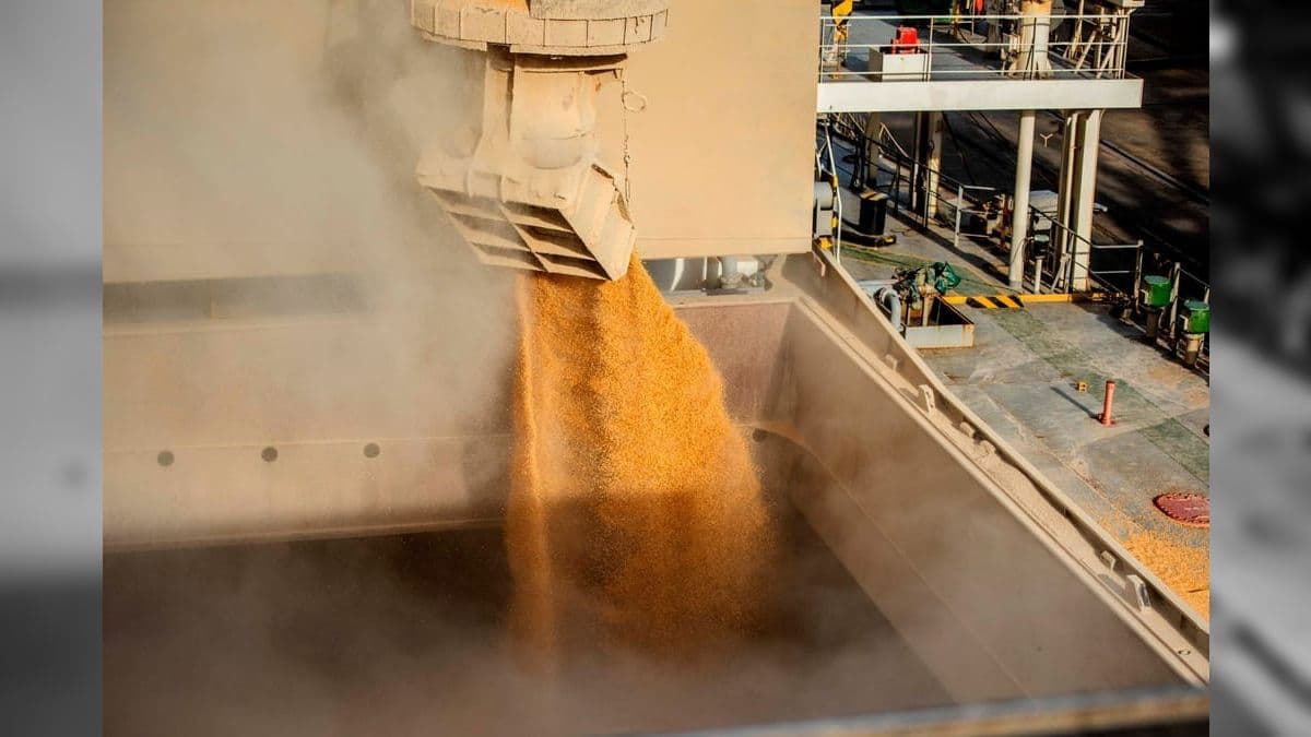 Farelo de soja é usado pela agroindústria para produzir biodiesel e rações