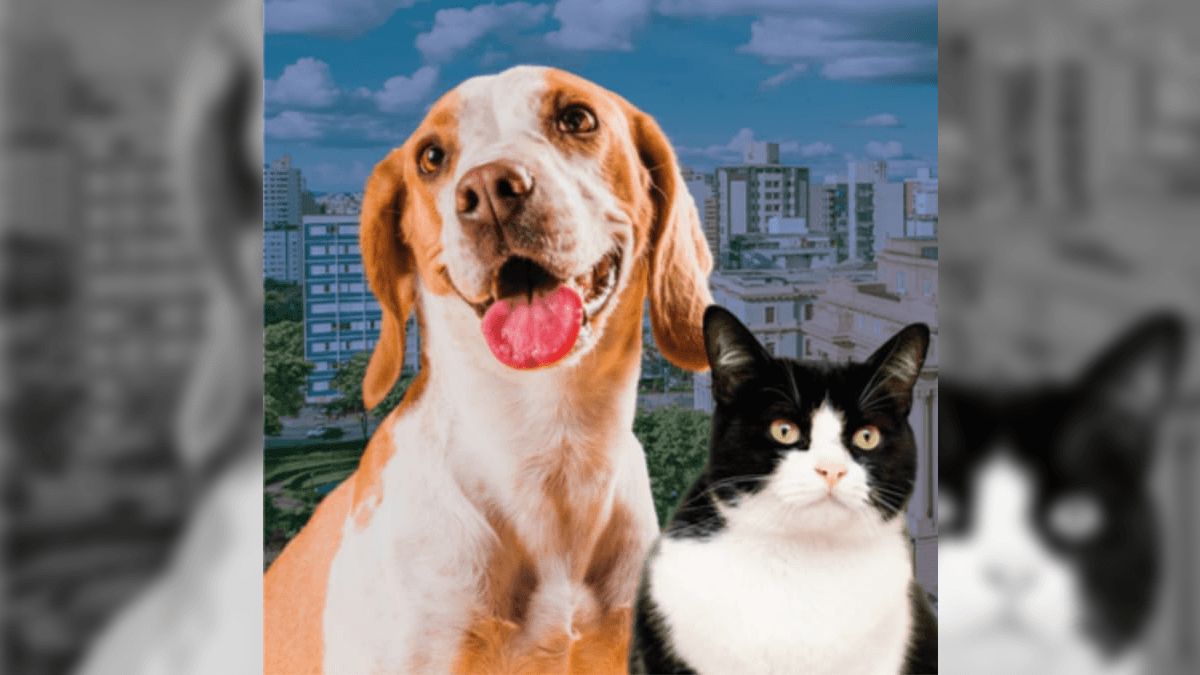 População de pets é estimada em 160 milhões de animais