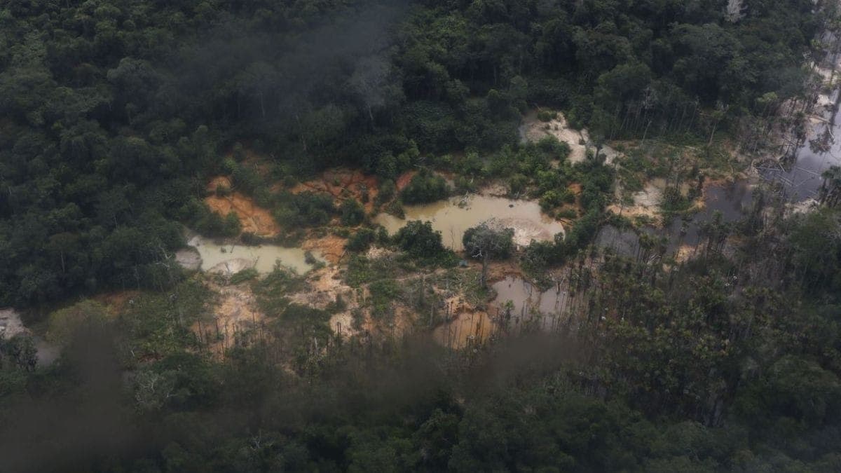 Minas foram localizadas em Maués (AM)