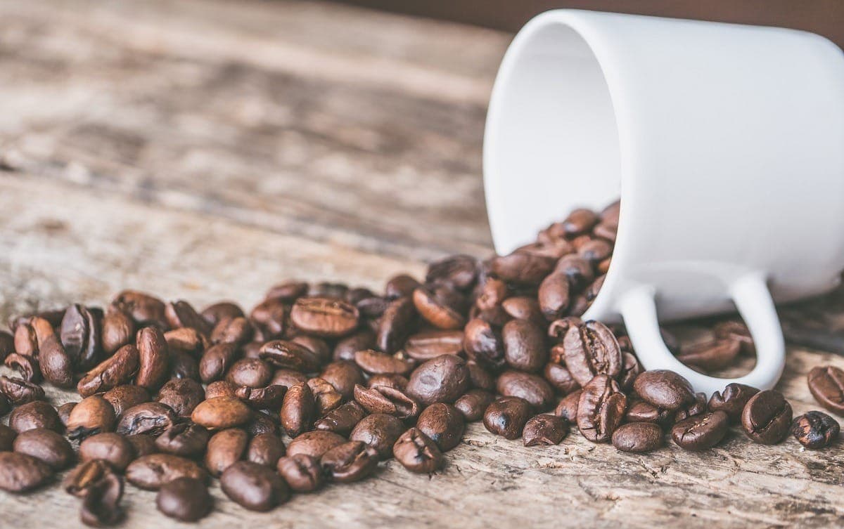 Regiões produtoras de café têm selo de Indicação Geográfica