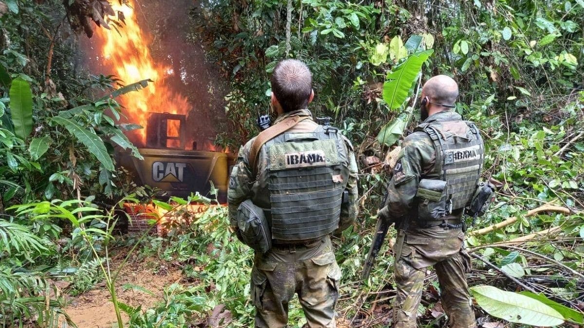 Alertas de garimpo caíram 96% em Terra Indígena Yanomami