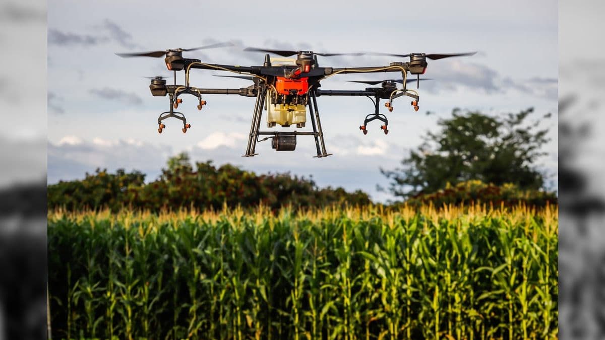 Para pilotar um drone agrícola, é preciso ter registro no ministério