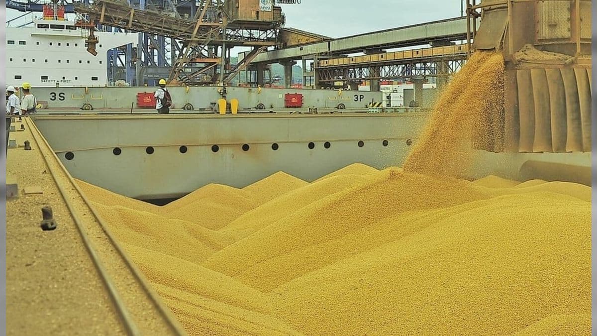 Brasil deve aumentar também as exportações de farelo de soja