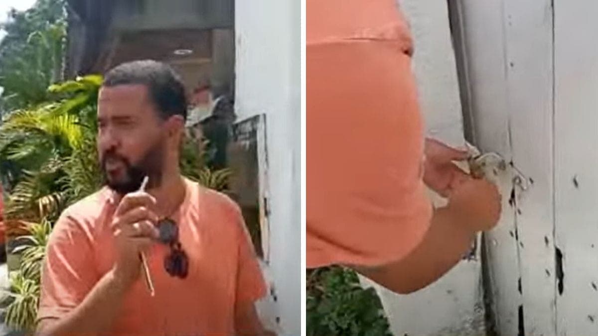 Irmão de Jeff Machado gravou Bruno Rodrigues abrindo casa do ator