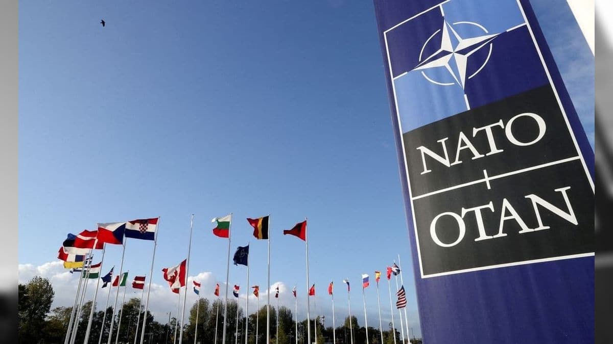 O que a Otan ganharia com a adesão da Suécia?