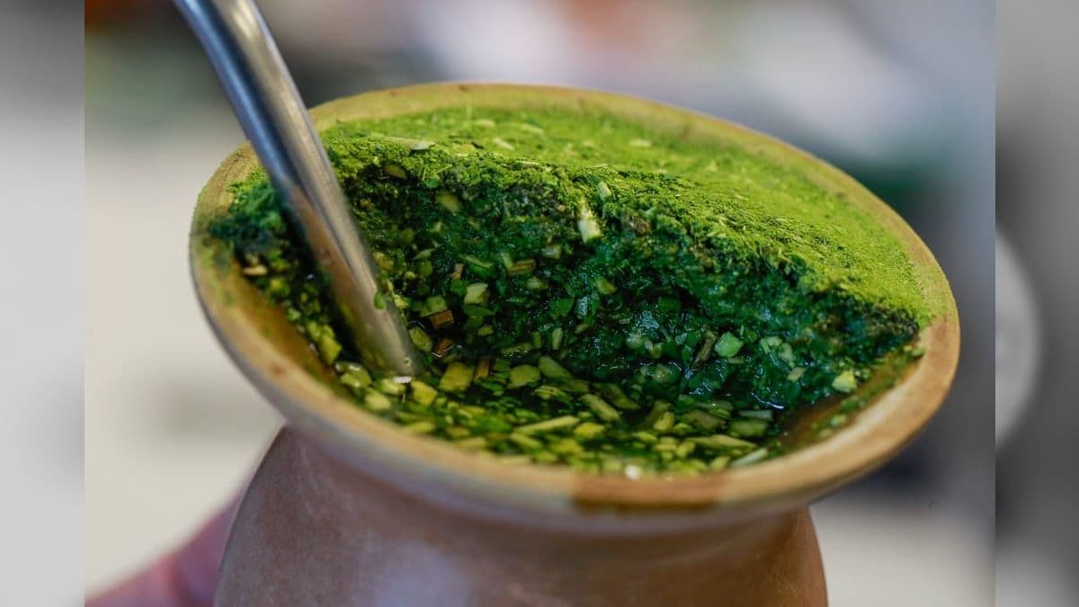 Rio Grande do Sul é o maior produtor e exportador de erva-mate